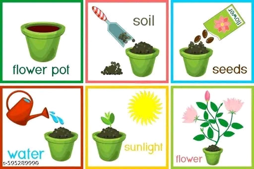 20 variety Plant Seeds For Home Garden Flowers Combo of 20 Packet of Seeds Winter, Summer & Spring & All Season Garden Flower Seeds